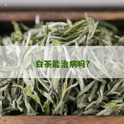 白茶能治病吗?