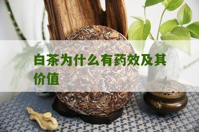 白茶为什么有药效及其价值