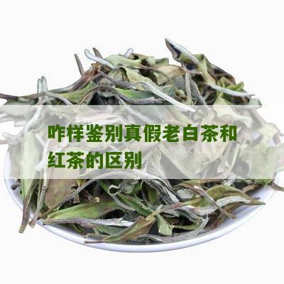 咋样鉴别真假老白茶和红茶的区别