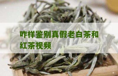 咋样鉴别真假老白茶和红茶视频