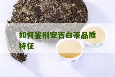 如何鉴别安吉白茶品质特征