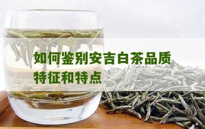 如何鉴别安吉白茶品质特征和特点