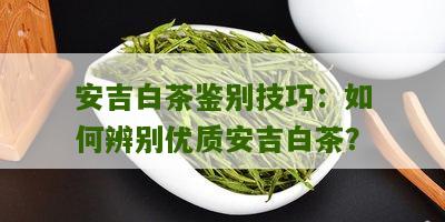 安吉白茶鉴别技巧：如何辨别优质安吉白茶？