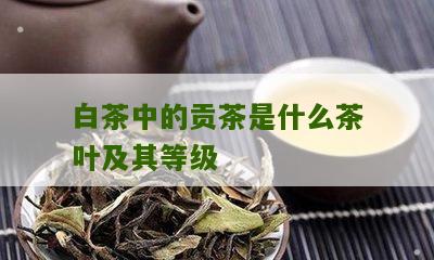 白茶中的贡茶是什么茶叶及其等级