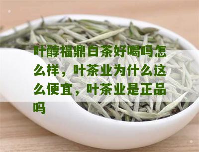 叶醇福鼎白茶好喝吗怎么样，叶茶业为什么这么便宜，叶茶业是正品吗