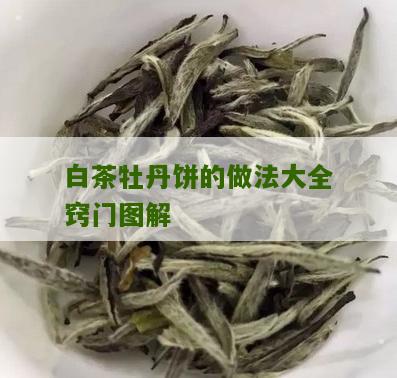 白茶牡丹饼的做法大全窍门图解