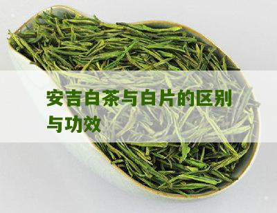 安吉白茶与白片的区别与功效