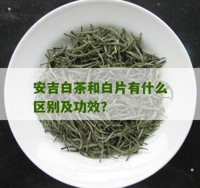 安吉白茶和白片有什么区别及功效？