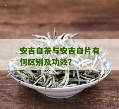 安吉白茶与安吉白片有何区别及功效？