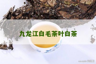 九龙江白毛茶叶白茶