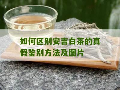 如何区别安吉白茶的真假鉴别方法及图片