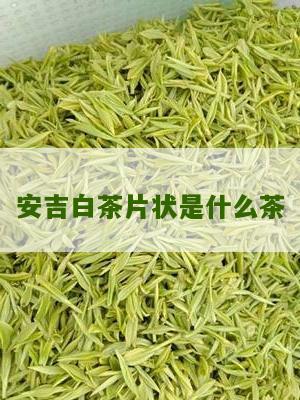 安吉白茶片状是什么茶