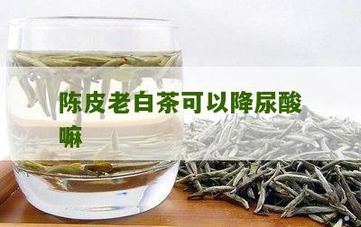 陈皮老白茶可以降尿酸嘛