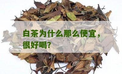 白茶为什么那么便宜，很好喝？