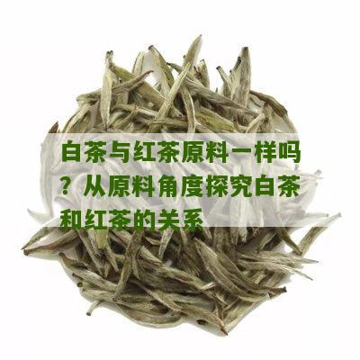 白茶与红茶原料一样吗？从原料角度探究白茶和红茶的关系