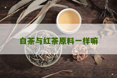 白茶与红茶原料一样嘛