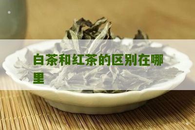 白茶和红茶的区别在哪里