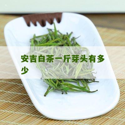 安吉白茶一斤芽头有多少