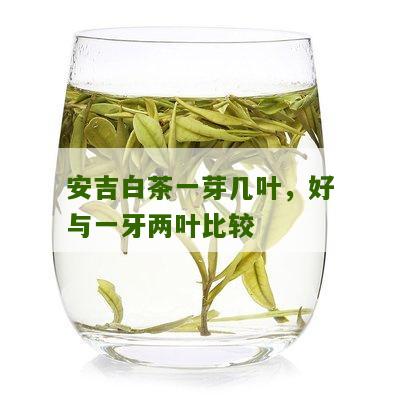 安吉白茶一芽几叶，好与一牙两叶比较