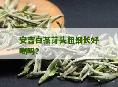 安吉白茶芽头粗细长好喝吗？