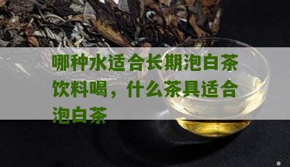 哪种水适合长期泡白茶饮料喝，什么茶具适合泡白茶