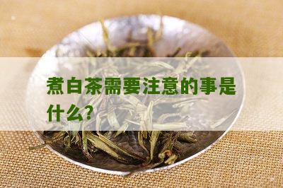 煮白茶需要注意的事是什么？