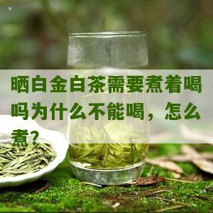 晒白金白茶需要煮着喝吗为什么不能喝，怎么煮？