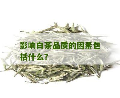 影响白茶品质的因素包括什么？