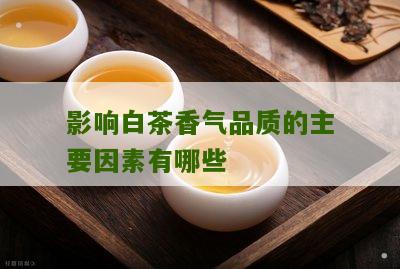 影响白茶香气品质的主要因素有哪些