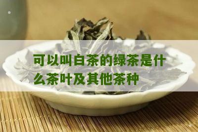 可以叫白茶的绿茶是什么茶叶及其他茶种