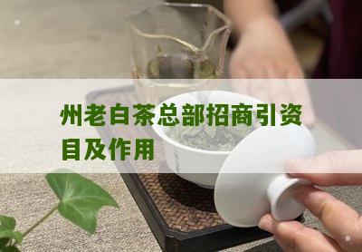 州老白茶总部招商引资目及作用