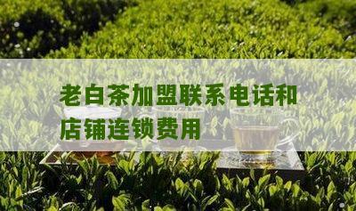 老白茶加盟联系电话和店铺连锁费用