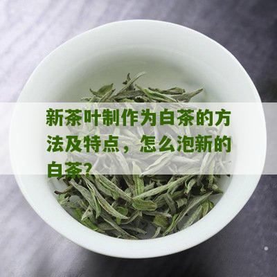 新茶叶制作为白茶的方法及特点，怎么泡新的白茶？