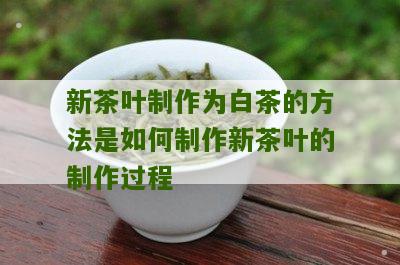 新茶叶制作为白茶的方法是如何制作新茶叶的制作过程