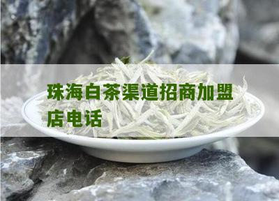 珠海白茶渠道招商加盟店电话