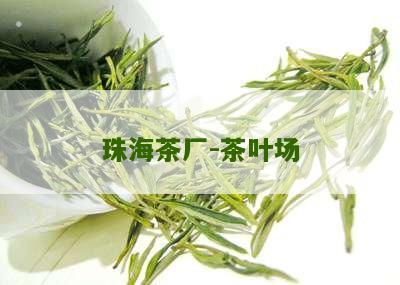 珠海茶厂-茶叶场