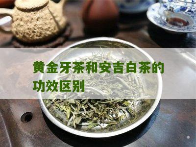 黄金牙茶和安吉白茶的功效区别