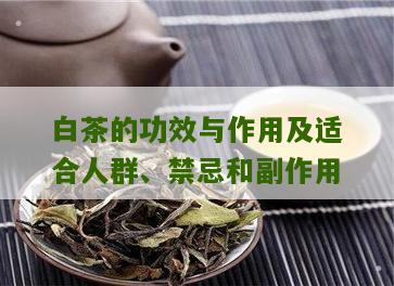 白茶的功效与作用及适合人群、禁忌和副作用