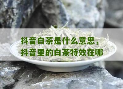 抖音白茶是什么意思，抖音里的白茶特效在哪