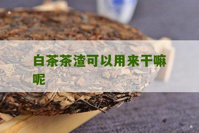 白茶茶渣可以用来干嘛呢