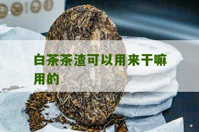 白茶茶渣可以用来干嘛用的