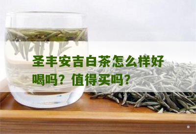 圣丰安吉白茶怎么样好喝吗？值得买吗？