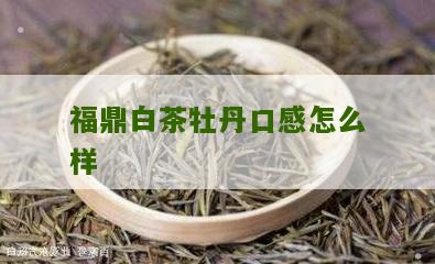 福鼎白茶牡丹口感怎么样