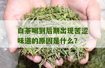 白茶喝到后期出现苦涩味道的原因是什么？