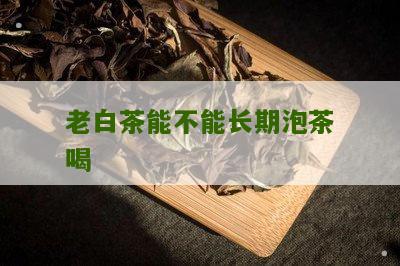 老白茶能不能长期泡茶喝