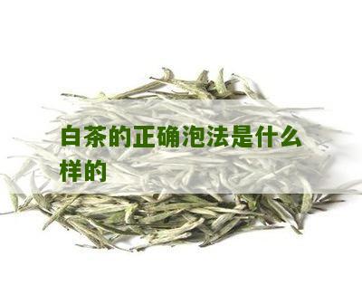 白茶的正确泡法是什么样的