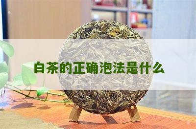 白茶的正确泡法是什么