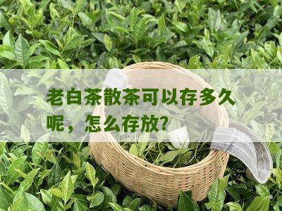 老白茶散茶可以存多久呢，怎么存放？