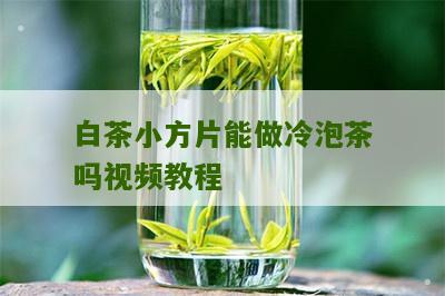 白茶小方片能做冷泡茶吗视频教程