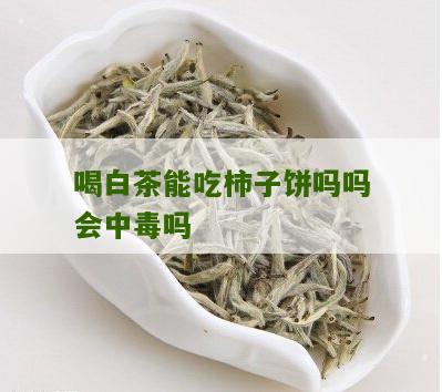 喝白茶能吃柿子饼吗吗会中毒吗